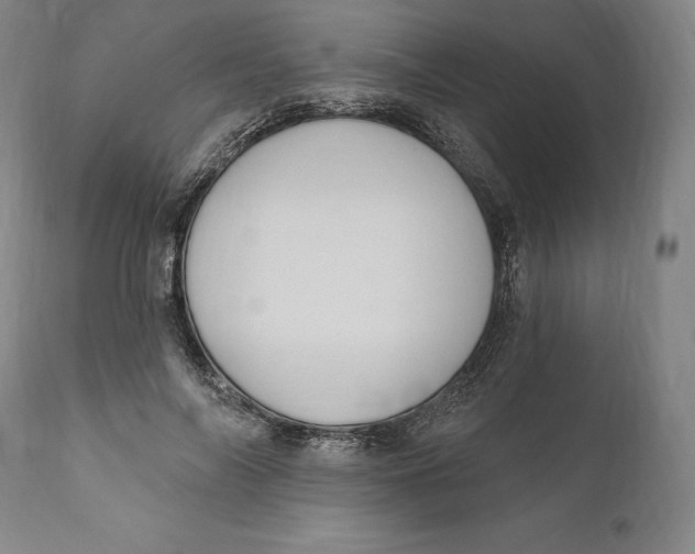 X0000111020694200907101340