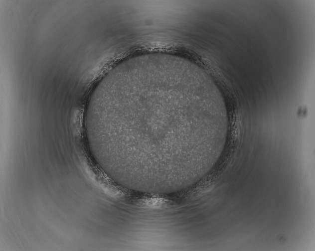 X0000111020695200907101340