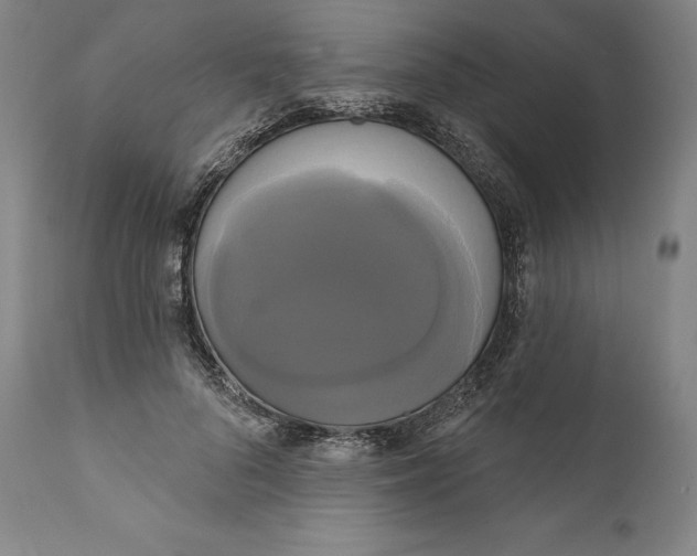 X0000111020696200907101340