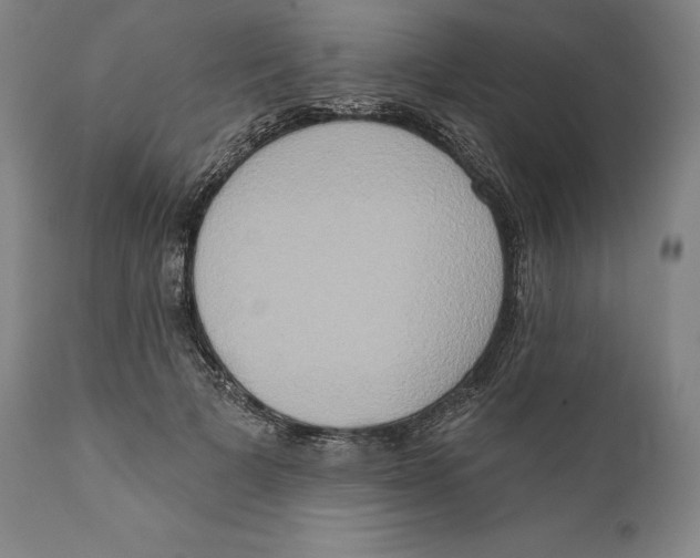 X0000111020697200907101340