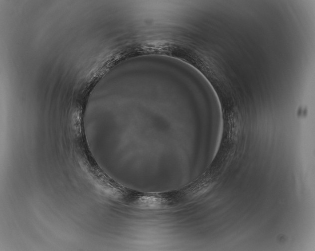 X0000111020699200907101340