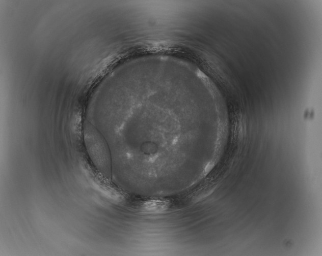 X0000111020700200907101340