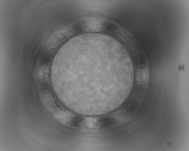 X0000111020701200907101340