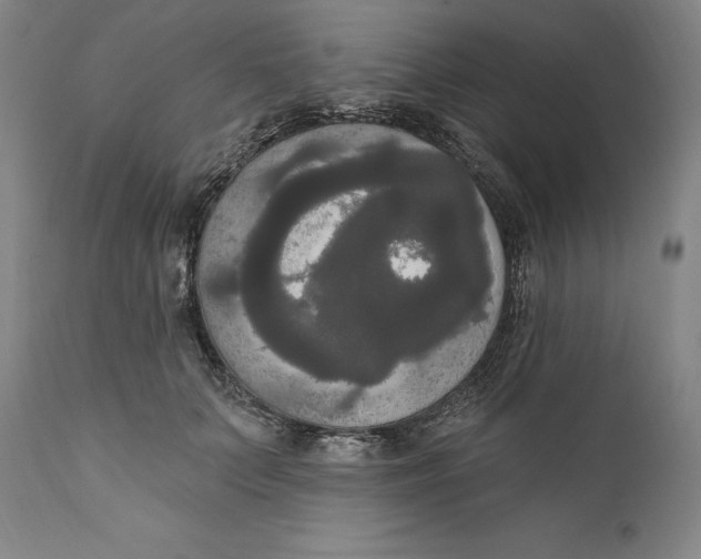 X0000111020703200907101340