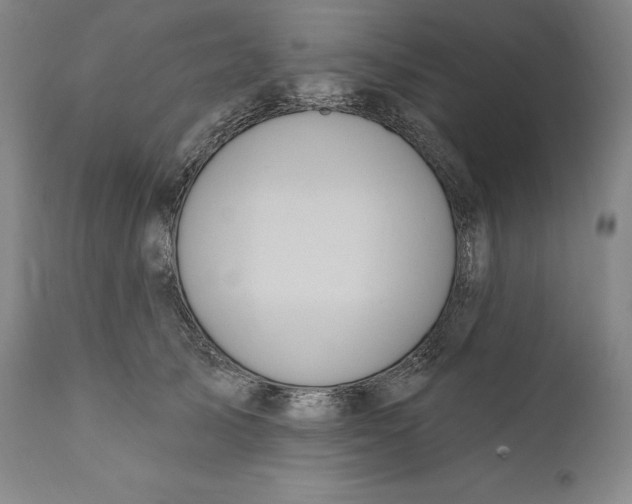 X0000111020705200907101340