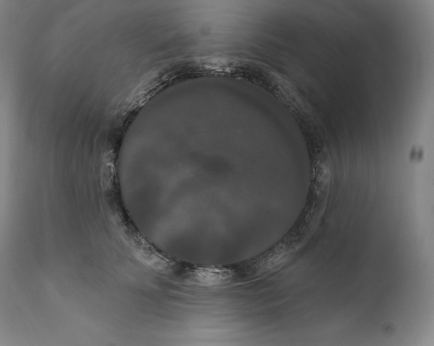 X0000111020707200907101340