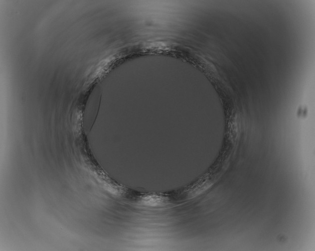 X0000111020708200907101340