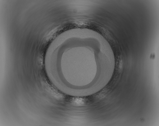 X0000111020710200907101340