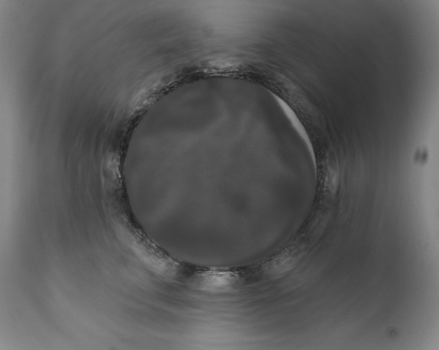X0000111020711200907101340