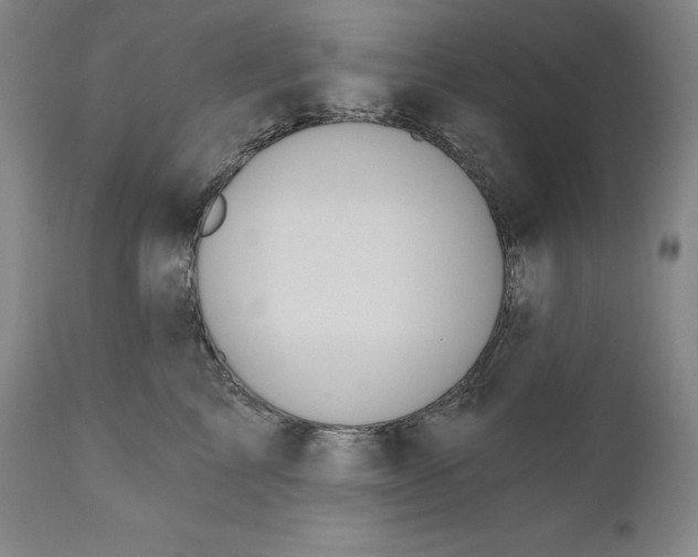 X0000111020713200907101340