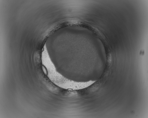 X0000111020715200907101340