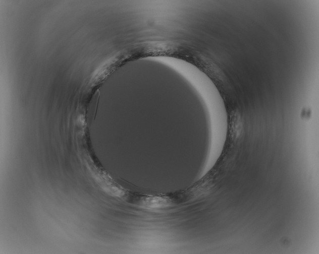 X0000111020716200907101340