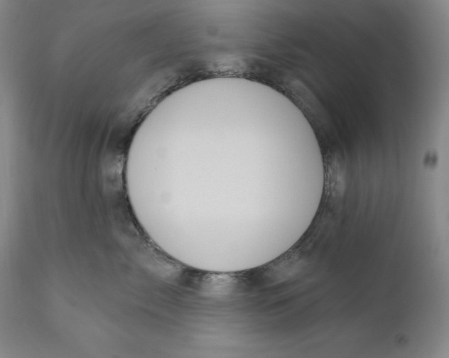 X0000111020717200907101339