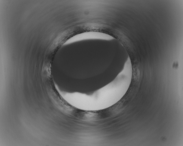 X0000111020718200907101339