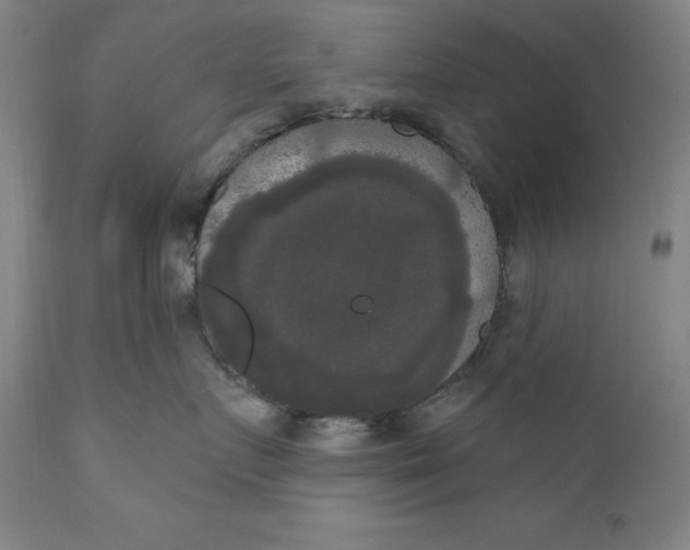 X0000111020719200907101339