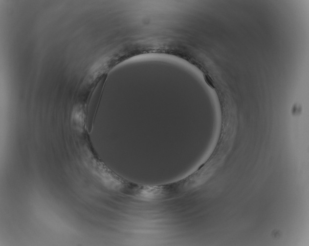 X0000111020720200907101339