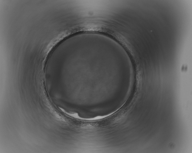 X0000111020721200907101339