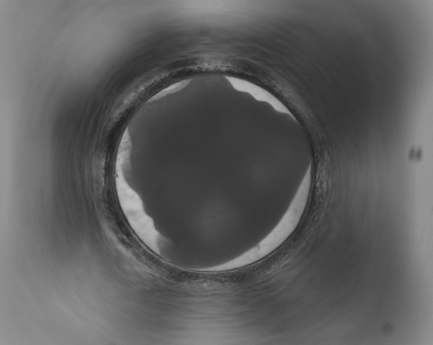 X0000111020722200907101339