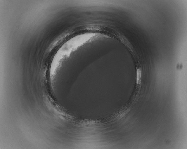 X0000111020723200907101339