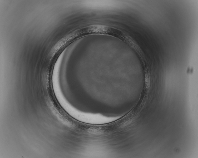 X0000111020725200907101339