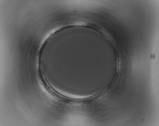 X0000111020726200907101339