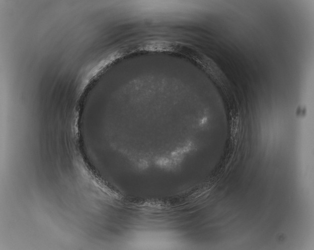 X0000111020727200907101339