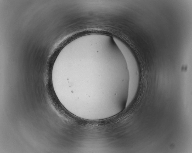 X0000111020728200907101339