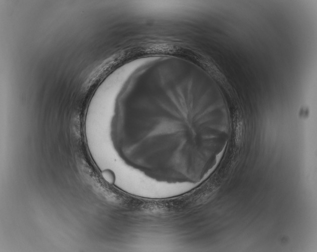 X0000111020729200907101339