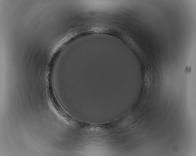 X0000111020730200907101339