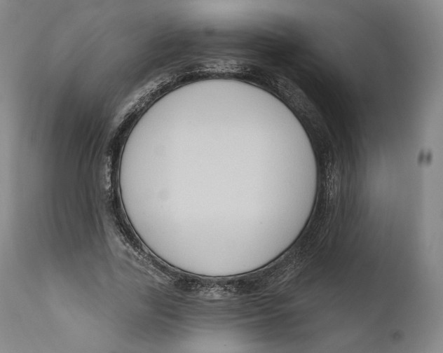 X0000111020731200907101339