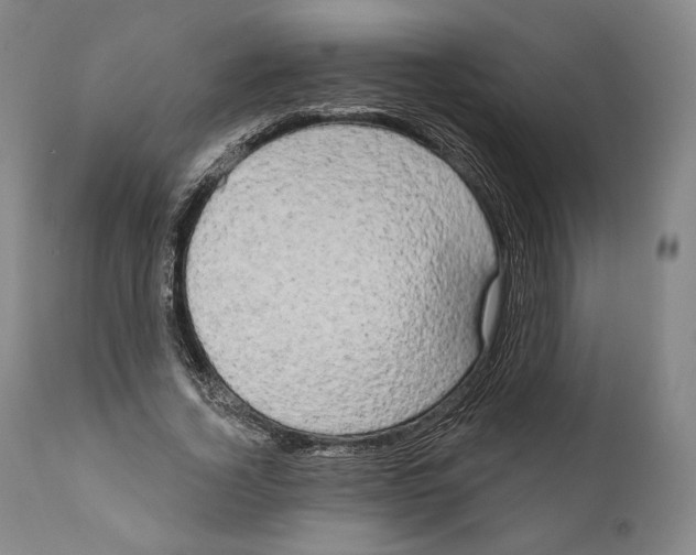 X0000111020732200907101339