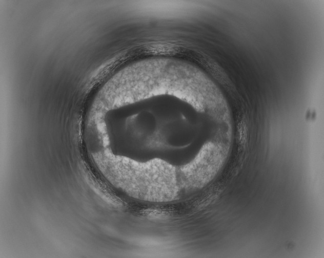 X0000111020733200907101339