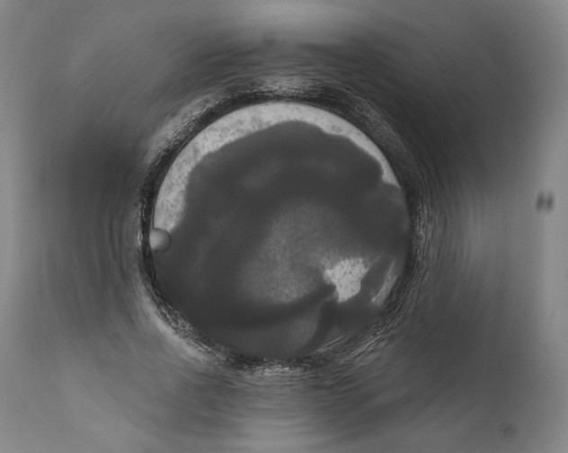 X0000111020734200907101339