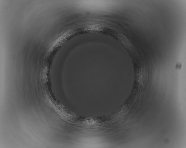 X0000111020735200907101339