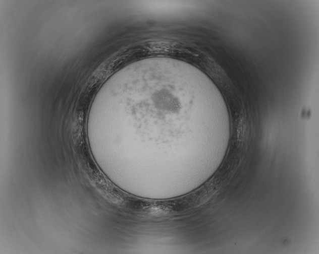 X0000111020737200907101339