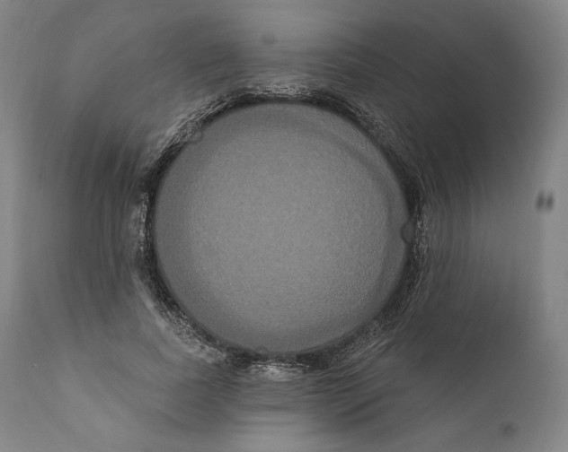 X0000111020739200907101339