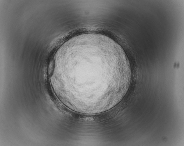 X0000111020740200907101339