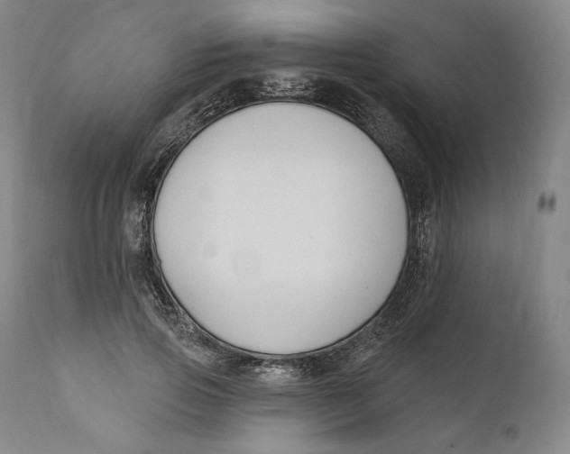 X0000111020741200907101339