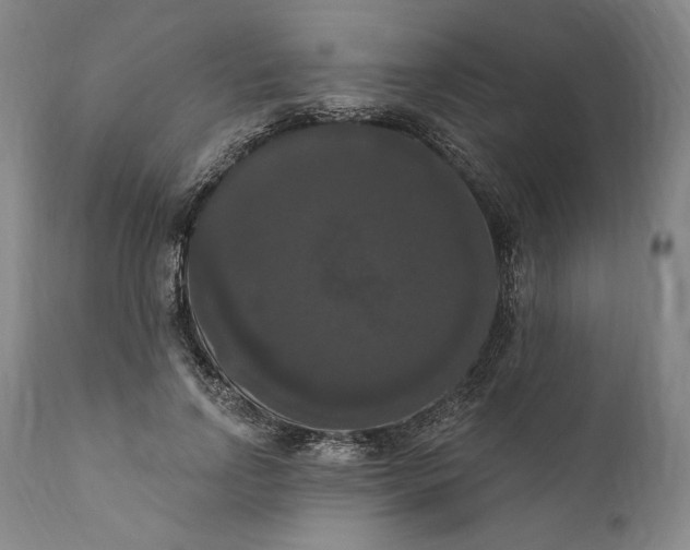 X0000111020742200907101339