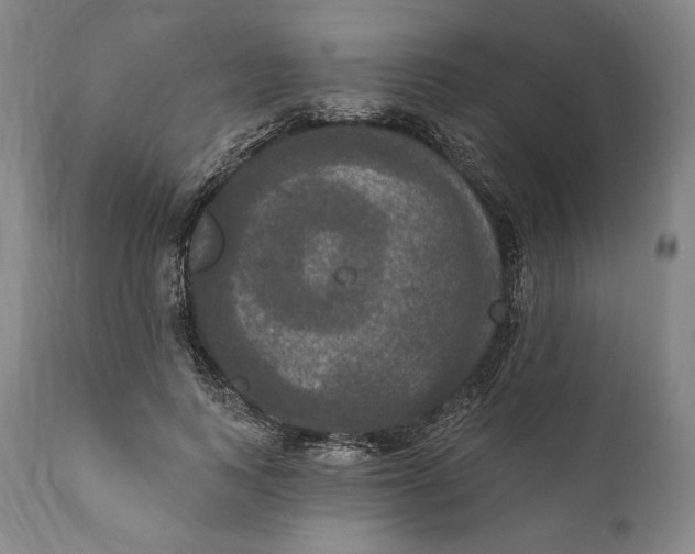X0000111020743200907101339