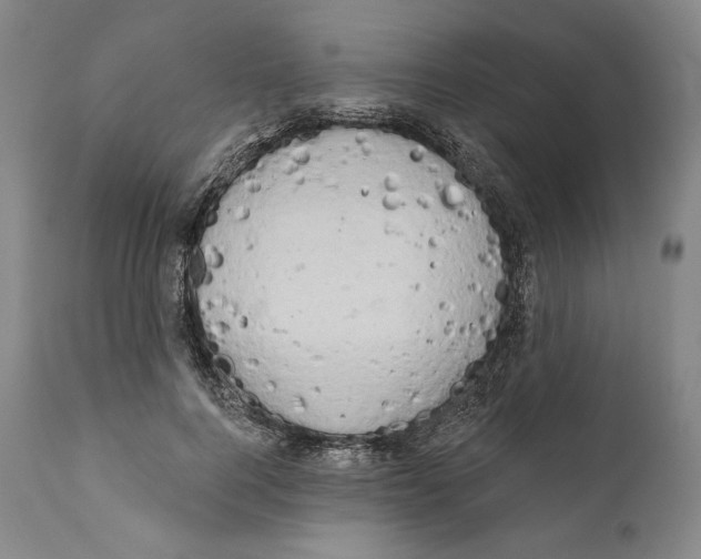 X0000111020744200907101339