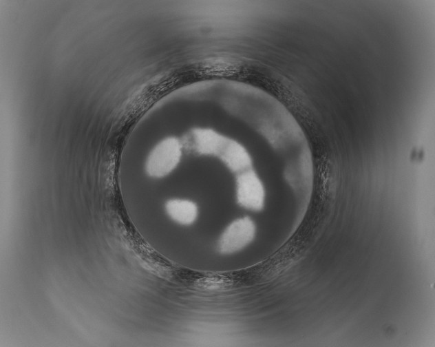 X0000111020745200907101339