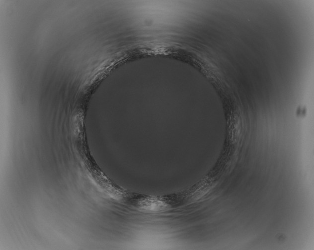 X0000111020747200907101339