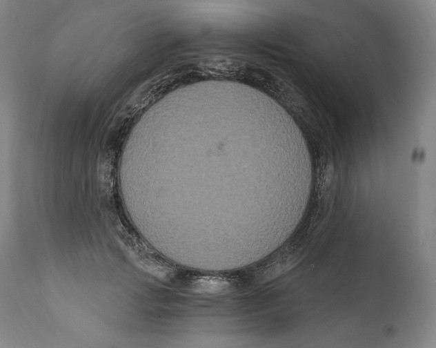 X0000111020749200907101339