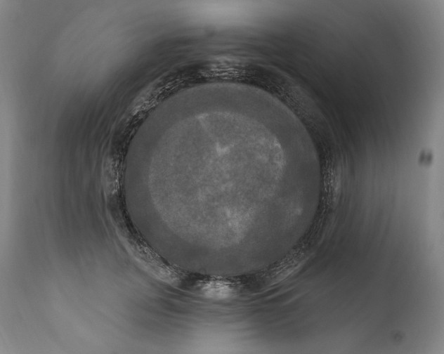 X0000111020751200907101339