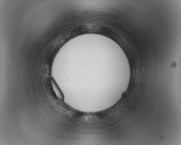 X0000111020752200907101339