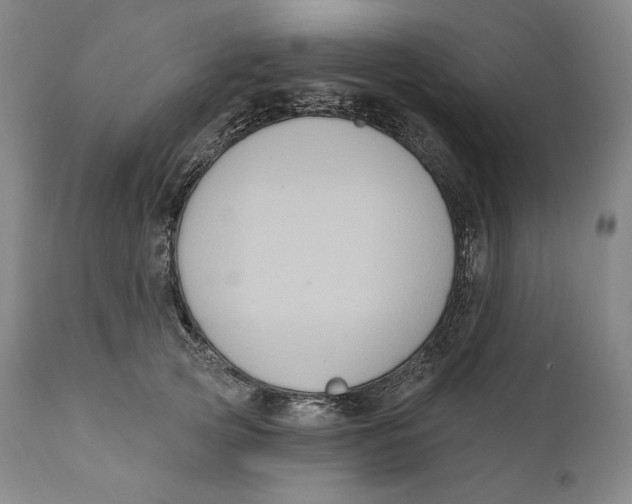 X0000111020753200907101339