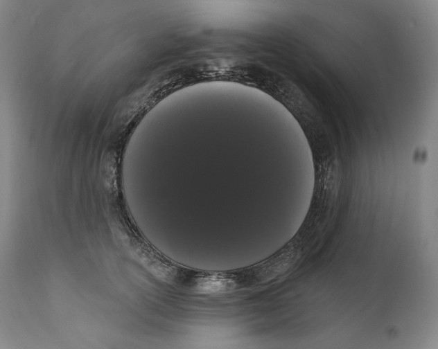 X0000111020754200907101339