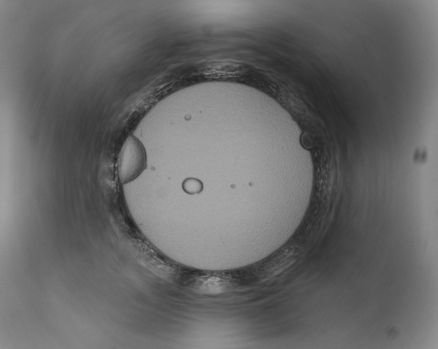 X0000111020755200907101339