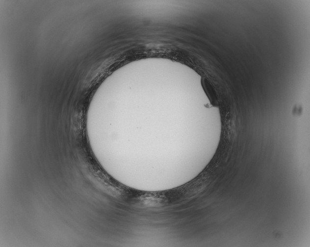 X0000111020756200907101339